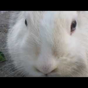 Meet your Posher, Sandra